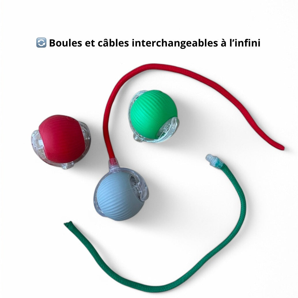 Balle Magique Interactive pour Chat