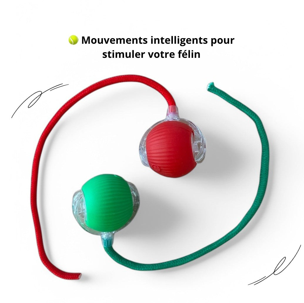 Balle Magique Interactive pour Chat