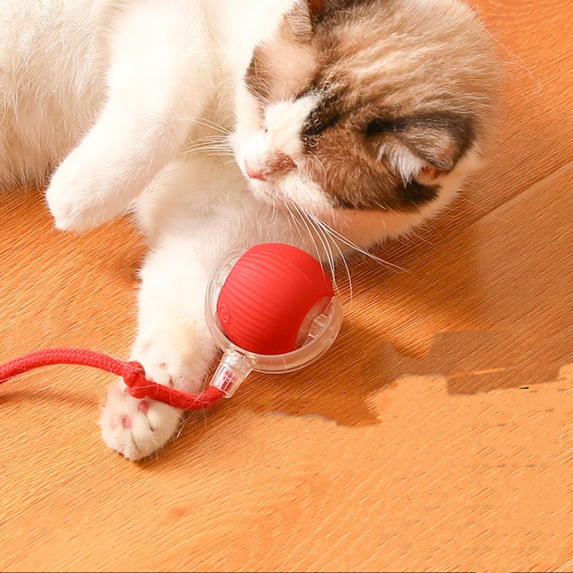 Balle Interactive pour Chat – Amusement et Stimulation Assurés !