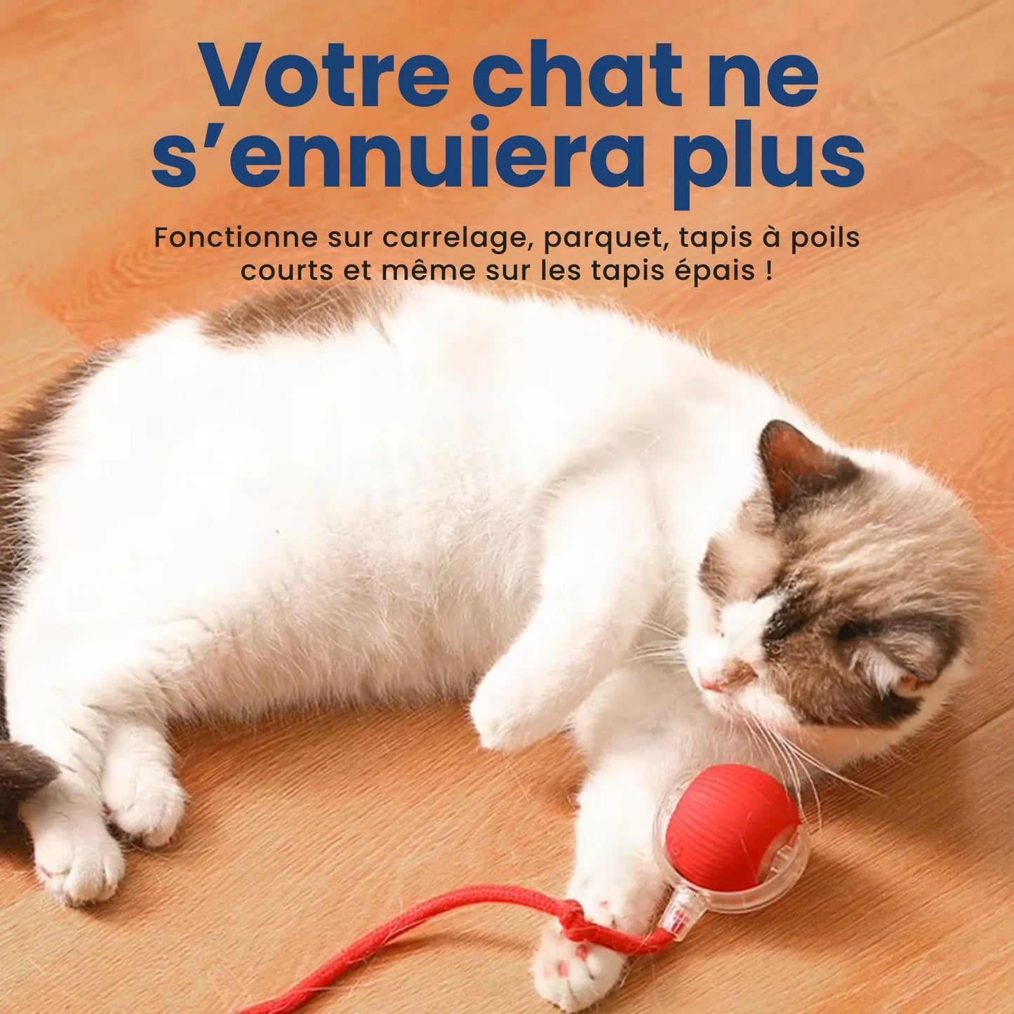 Balle Interactive pour Chat – Amusement et Stimulation Assurés !